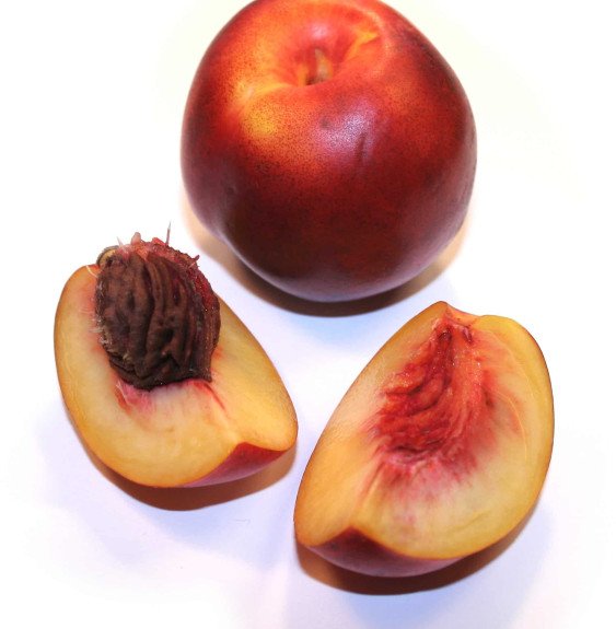 Pépinières Français PF_Prunus-per95 Prunus persica 'Nectarose' / Pecher Nectarose