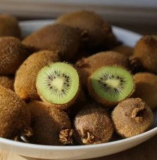 Pépinières Français PF_Kiwi-femel9 Kiwi femelle 'Kiwidoo®' - actinidia chinensis