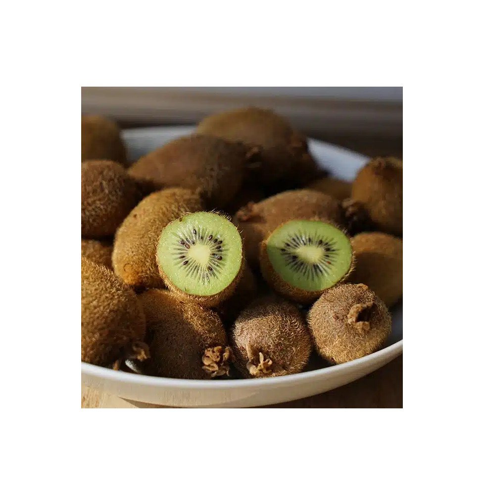 Pépinières Français PF_Kiwi-femel9 Kiwi femelle 'Kiwidoo®' - actinidia chinensis