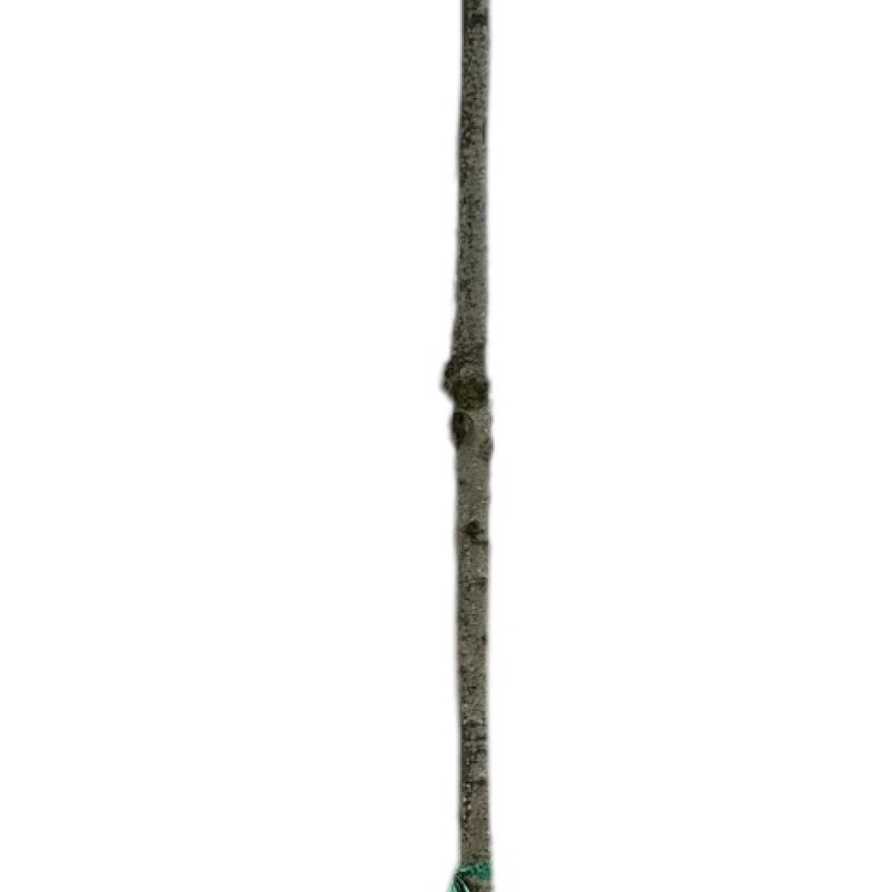 PRUNUS cerasifera ‘Pissardii’ / Cerisier à fleurs