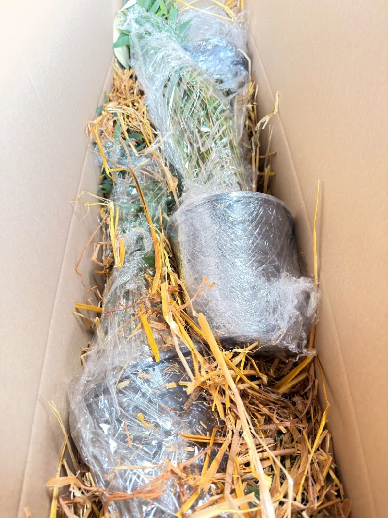 Notre emballage écoresponsable : la paille naturelle, du colis au jardin