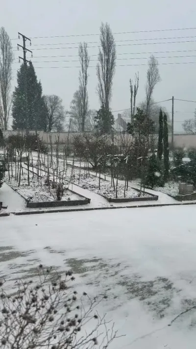 ❄️ Quand l’hiver s’invite aux Pépinières Français…
Un manteau blanc recouvre délicatem