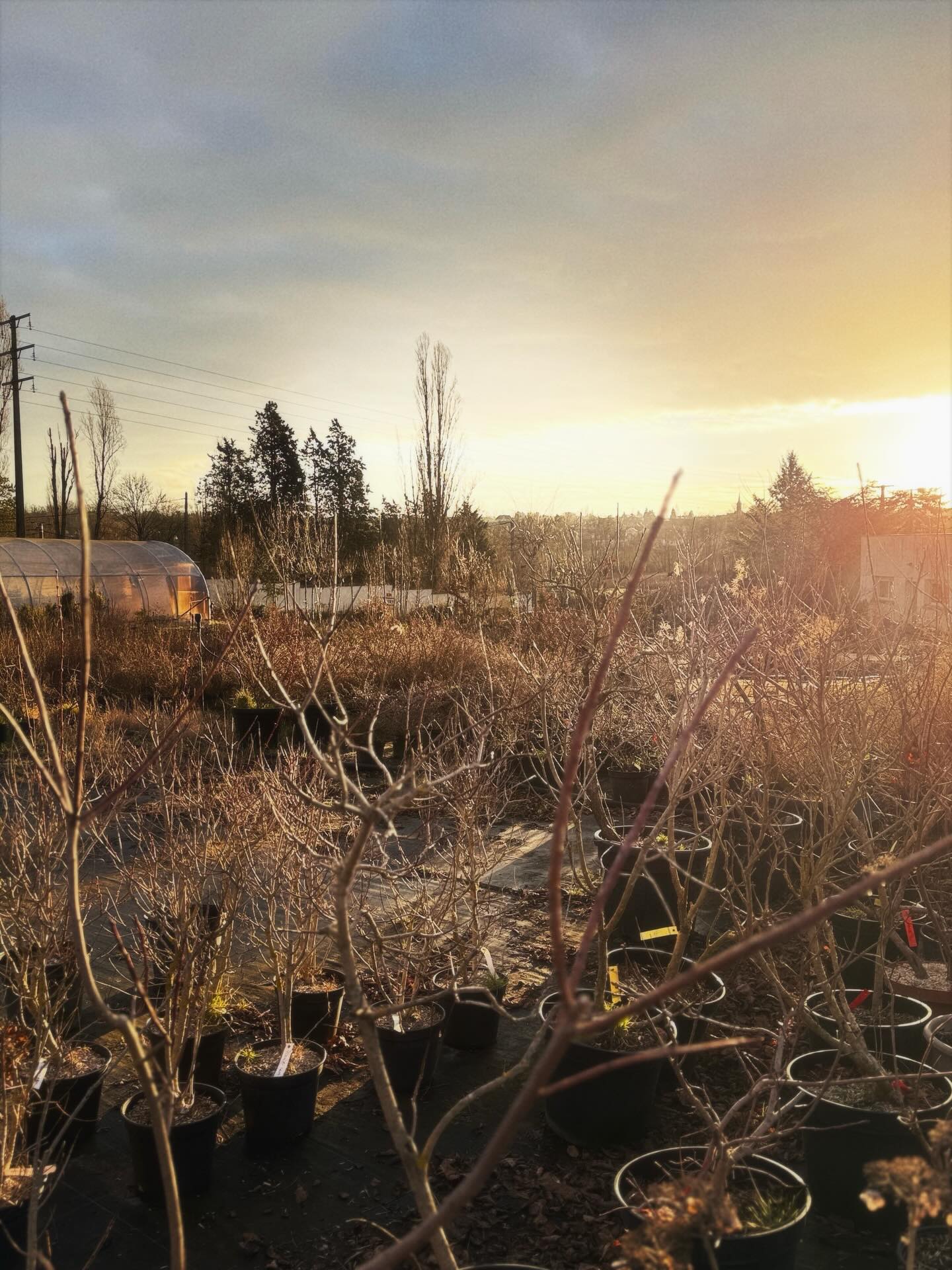 ☀️ L’aube aux Groseilliers
Quand le soleil se lève sur nos parcelles, c’est toute la magie 
