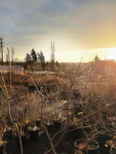 ☀️ L’aube aux Groseilliers
Quand le soleil se lève sur nos parcelles, c’est toute la magie 