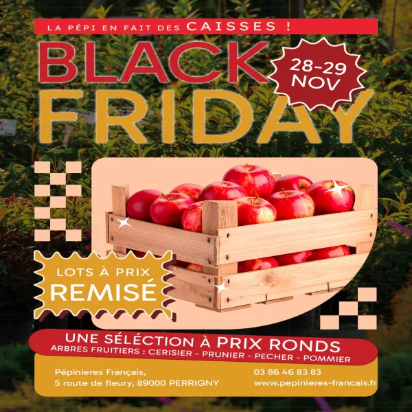 🔥 BLACK FRIDAY - C'EST DEMAIN ! 🔥

La Pépi en fait des CAISSES ! 🍎

📅 Vendredi 28 et Sa