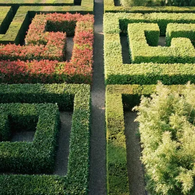 🌿 𝗤𝘂𝗲𝗹𝗹𝗲 𝗵𝗮𝗶𝗲 𝗰𝗵𝗼𝗶𝘀𝗶𝗿 ? Notre guide comparatif