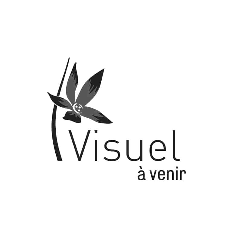 Clématite de Noël 'Jingle Bells' - clematis cirrhosa - Photo 1